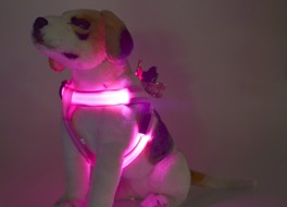 harnesses